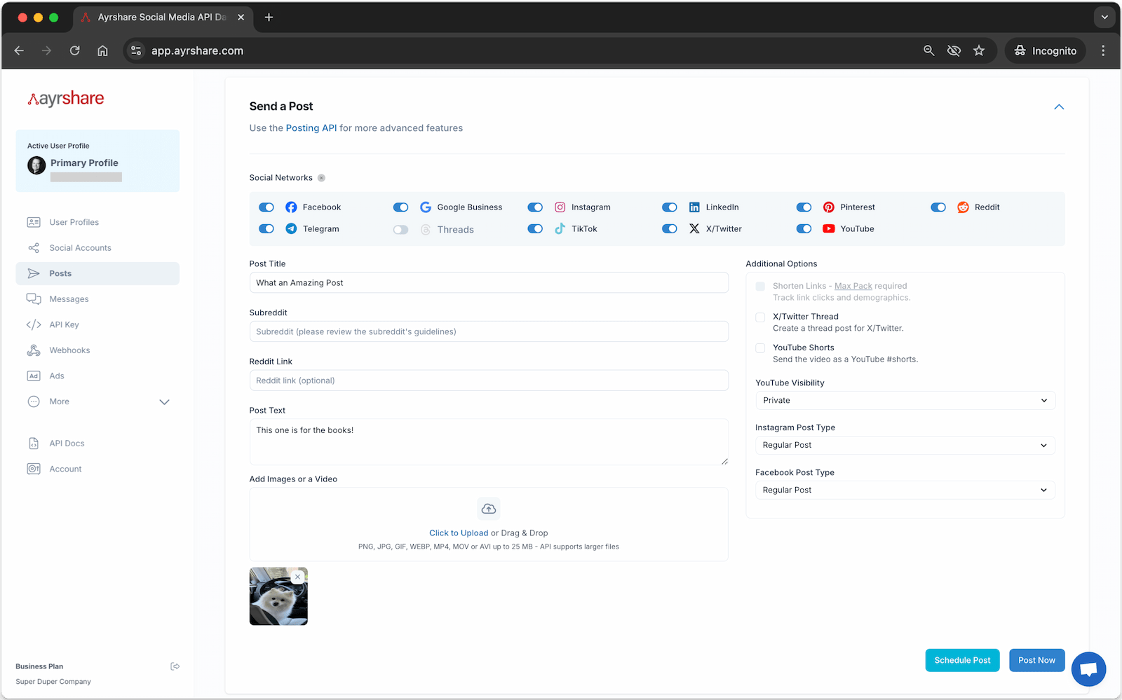 Ayrshare API Dashboard